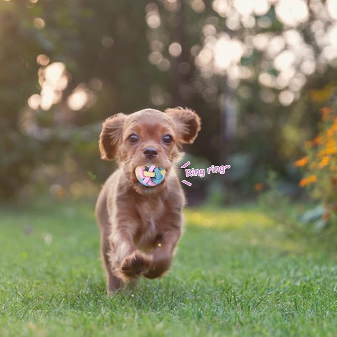 Interactive Teeth Training Ball Toy with Bell for Puppies