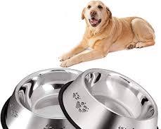 Stainless Steel Bowl for Cats and Dogs